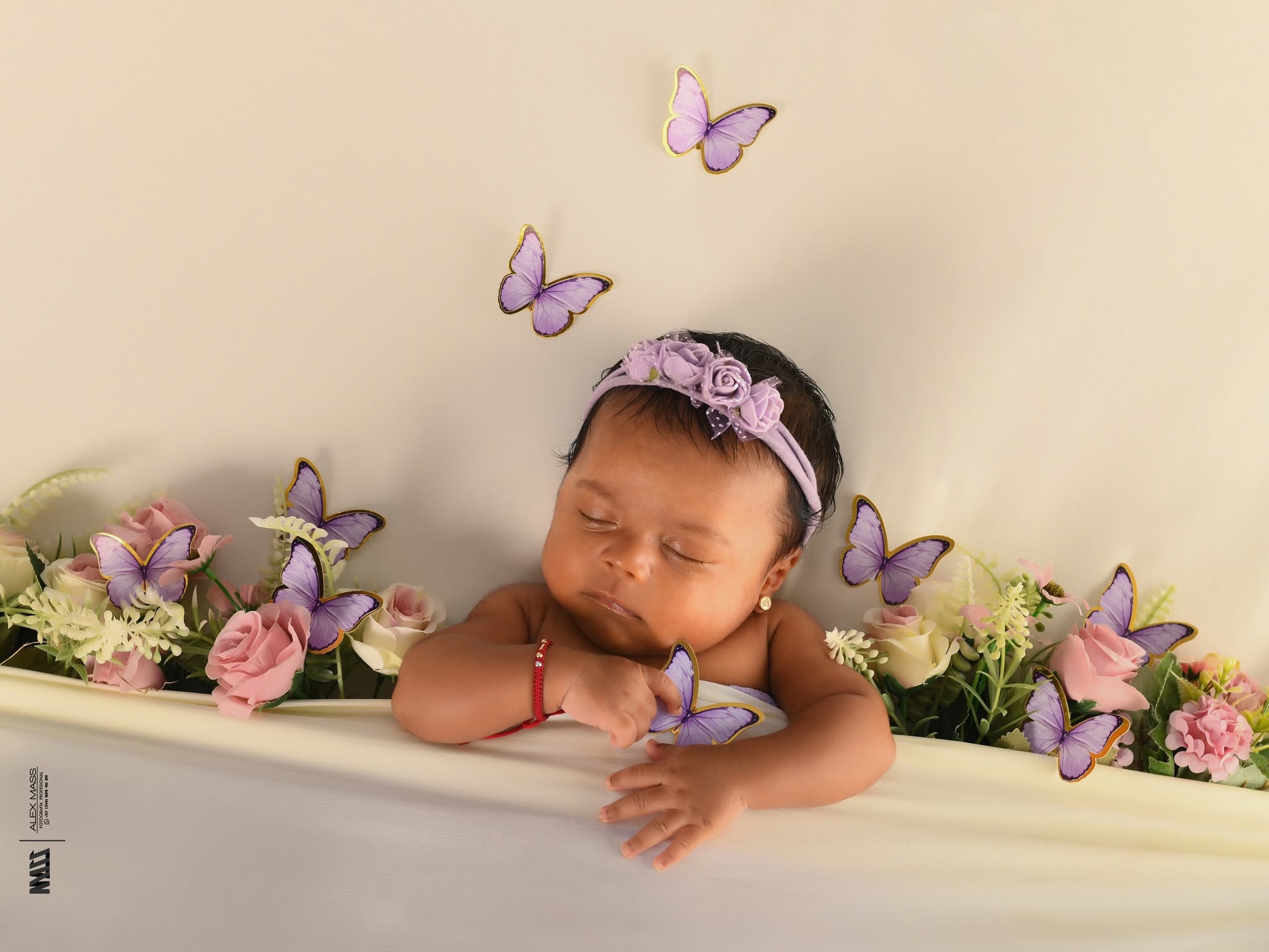 Emma Mariposas y Rosas
