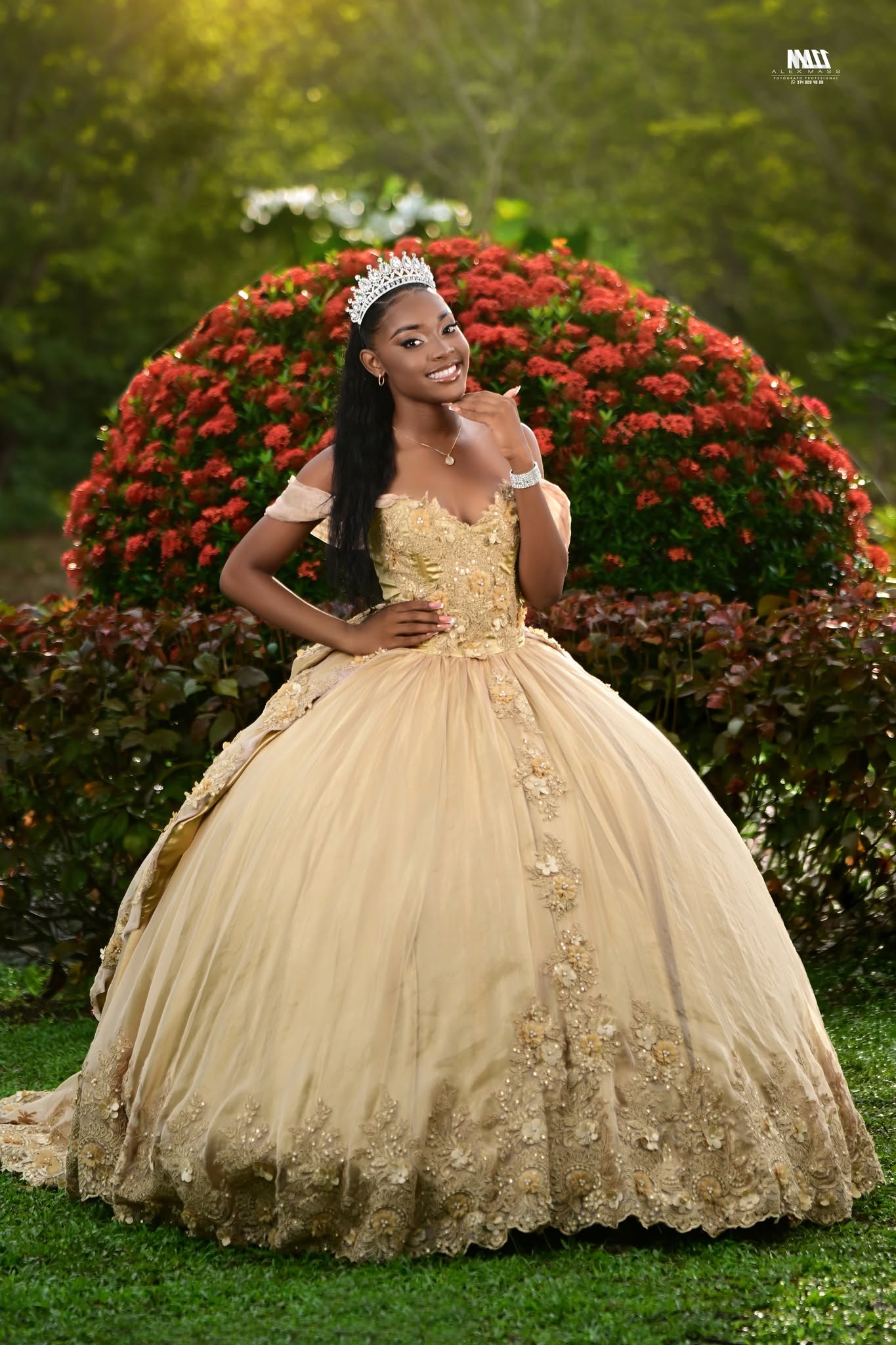 Sofía Vestido Dorado Imperial